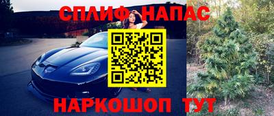 ешки Волгодонск