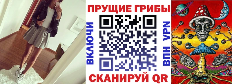 Псилоцибиновые грибы прущие грибы  где продают наркотики  Дзержинский 