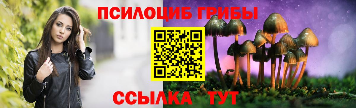 Галлюциногенные грибы Psilocybine cubensis Дзержинский
